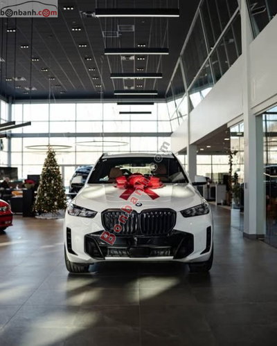 Xe BMW X5 xDrive40i M Sport 2025