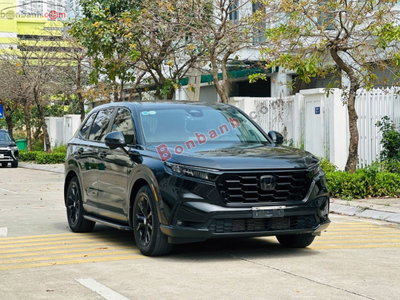 Xe Honda CRV L 2024