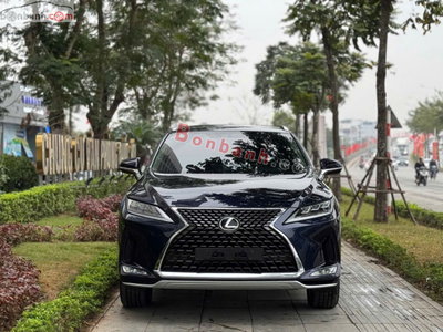 Xe Lexus RX 300 2020