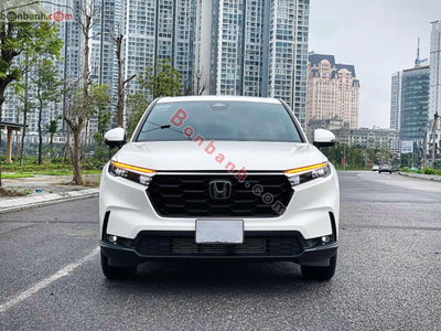 Xe Honda CRV L 2025
