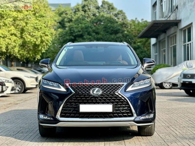 Xe Lexus RX 300 2020