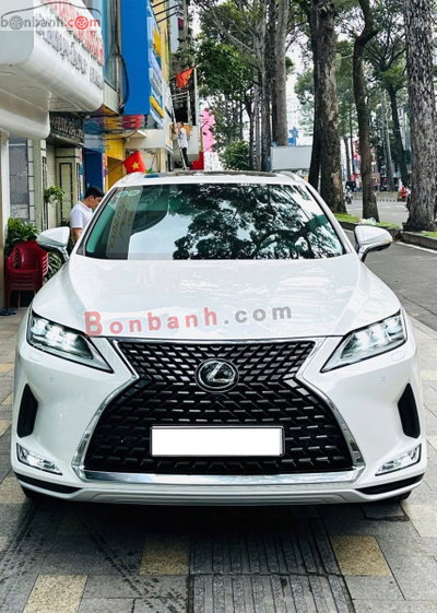 Xe Lexus RX 350 2019