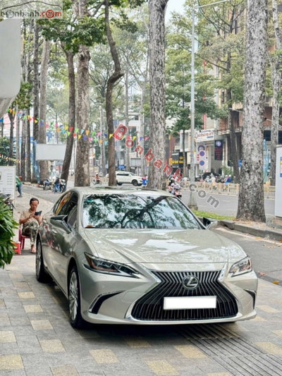 Xe Lexus ES 250 2019
