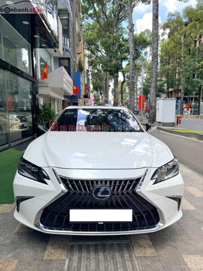 Xe Lexus ES 300h 2022