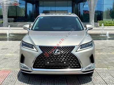 Xe Lexus RX 300 2020