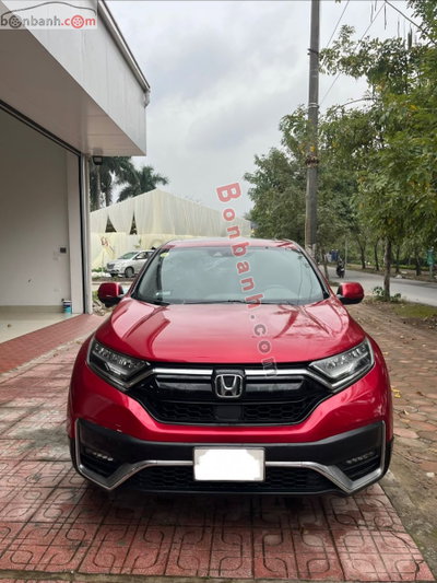 Xe Honda CRV L 2020