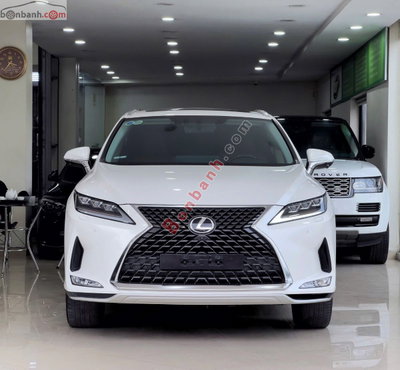 Xe Lexus RX 300 2021