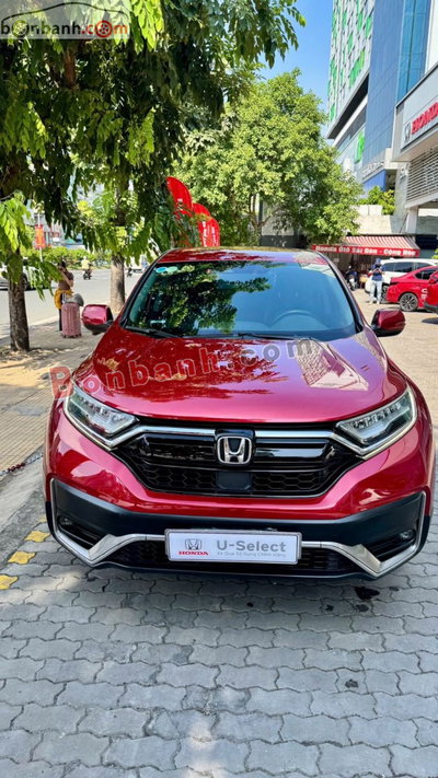 Xe Honda CRV G 2021