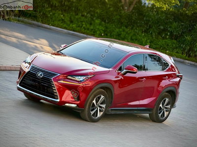 Xe Lexus NX 300 2019
