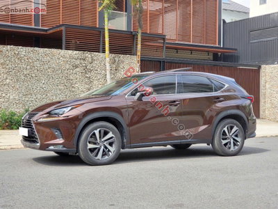 Xe Lexus NX 300 2019