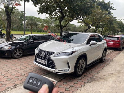 Xe Lexus RX 300 2022