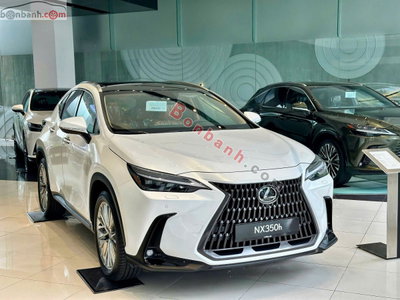Xe Lexus NX 350h 2026