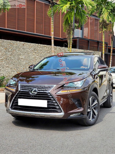 Xe Lexus NX 300 2019