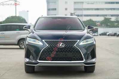 Xe Lexus RX 300 2020