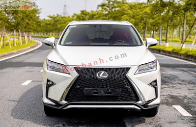 Xe Lexus RX 350 2019