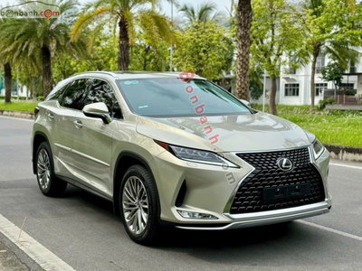 Xe Lexus RX 300 F Sport 2021