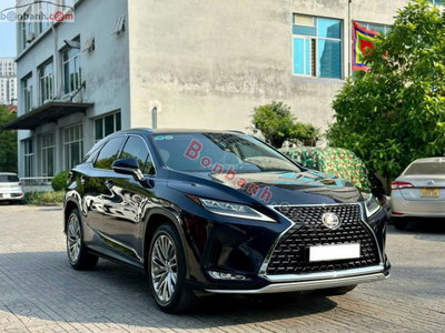 Xe Lexus RX 300 2020