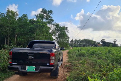 Ford Ranger 2021 Wildtrak Đen