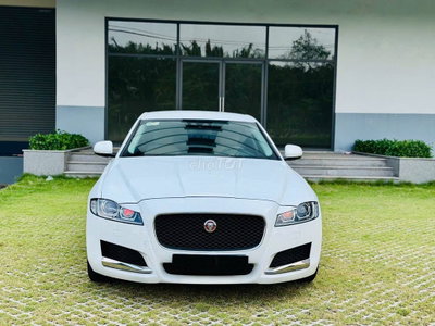 Jaguar XF Pure 2016 Trắng 60000 km