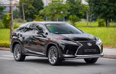 Xe Lexus RX 300 2019