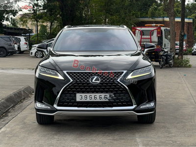 Xe Lexus RX 300 2019