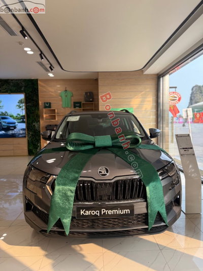 Xe Skoda Karoq Premium 2025