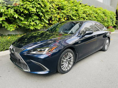 Xe Lexus ES 300h 2020