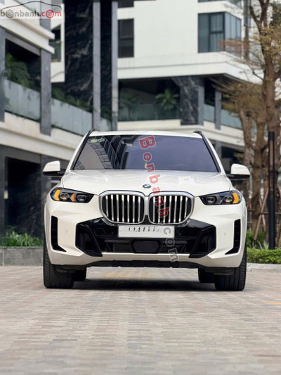Xe BMW X5 xDrive40i M Sport 2024