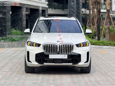 Xe BMW X5 xDrive40i M Sport 2024