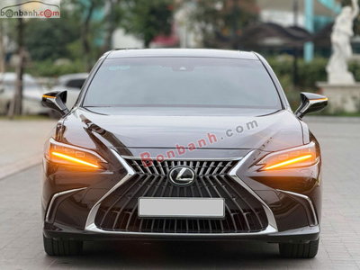Xe Lexus ES 250 2023