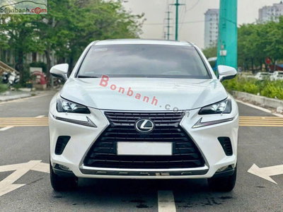 Xe Lexus NX 300 2018