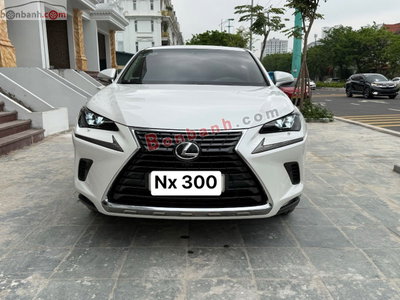 Xe Lexus NX 2018