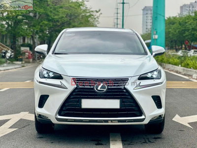 Xe Lexus NX 300 2018