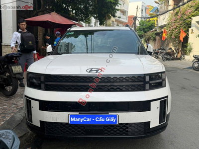 Xe Hyundai SantaFe Calligraphy 2.5L HTRAC 6S 2024