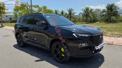 Xe Ford Territory Sport 1.5 AT 2025