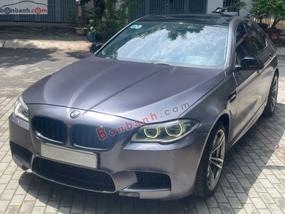 Xe BMW 5 Series 520i 2015