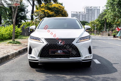 Xe Lexus RX 300 2020