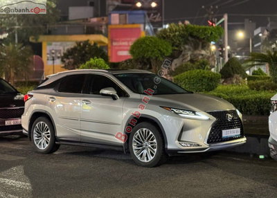 Xe Lexus RX 300 2021