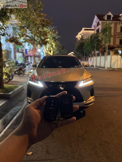 Xe Lexus RX 300 2021