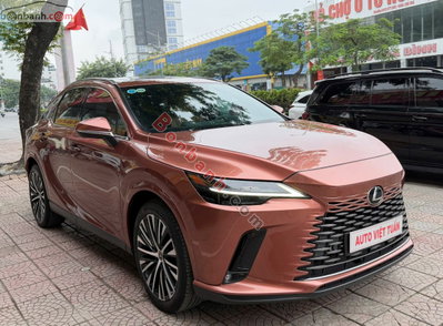 Xe Lexus RX 350 Premium 2023