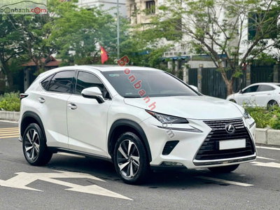 Xe Lexus NX 300 2018