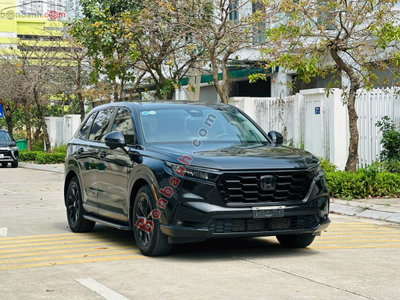 Xe Honda CRV L 2024