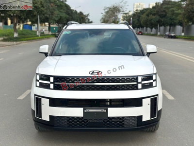 Xe Hyundai SantaFe Calligraphy 2.5L HTRAC 6S 2024
