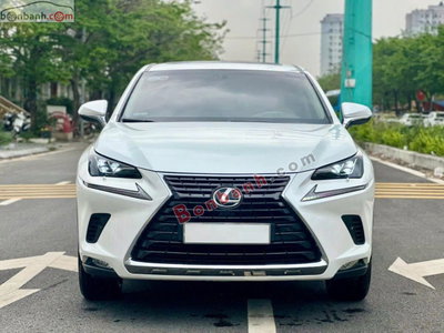 Xe Lexus NX 300 2018