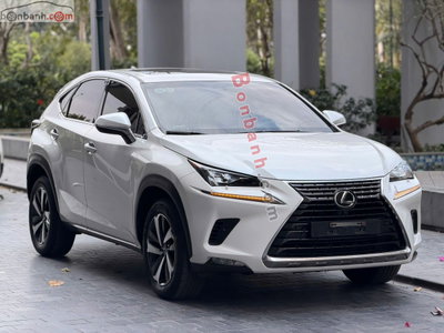 Xe Lexus NX 300 2018