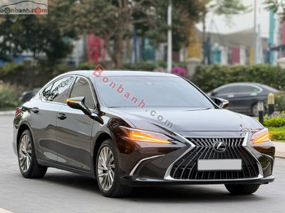 Xe Lexus ES 250 2023