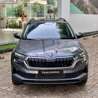 Xe Skoda Karoq Ambition 1.4 AT 2025