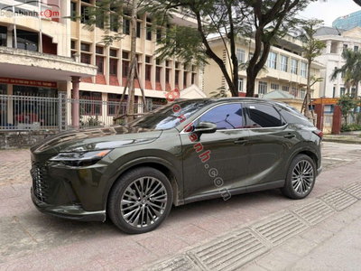 Xe Lexus RX 350h Luxury 2025