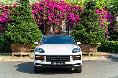 Xe Porsche Cayenne 3.0 V6 2023