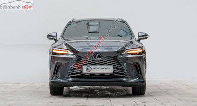 Xe Lexus RX 350 Luxury 2024